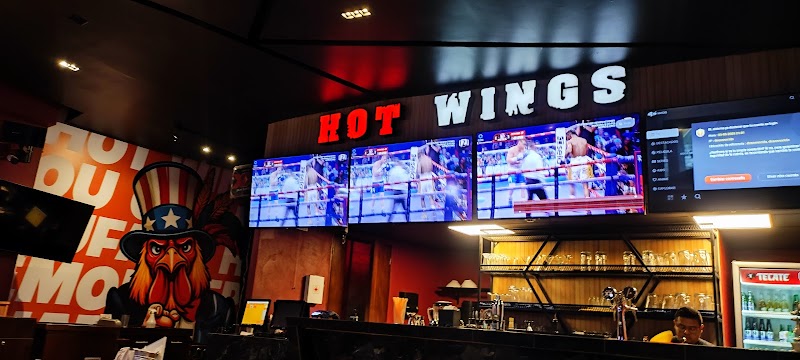 Hot Wings - Plaza Palmas