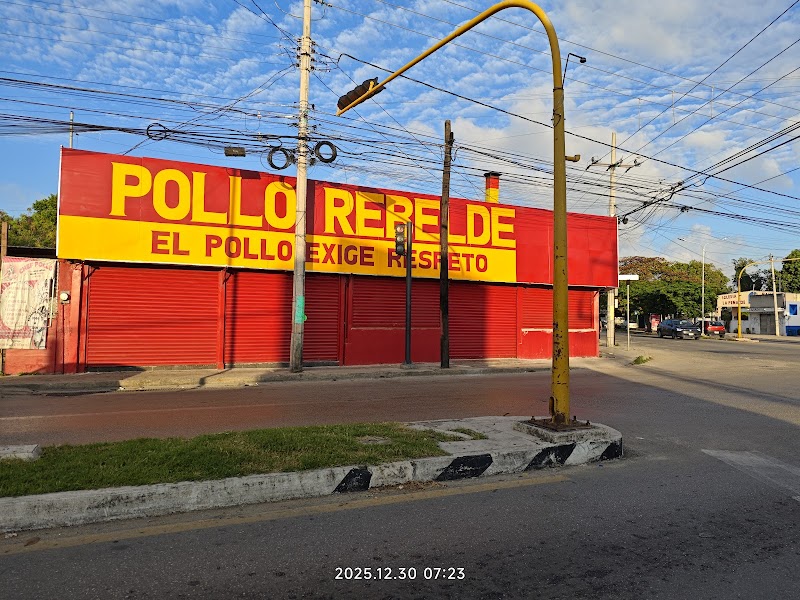 Chef Pollo