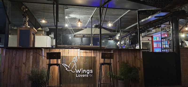 Wings Lovers Mx
