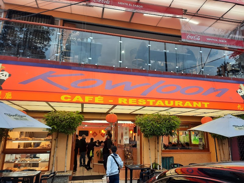 Kowloon Delight Narvarte 九龍餐廳