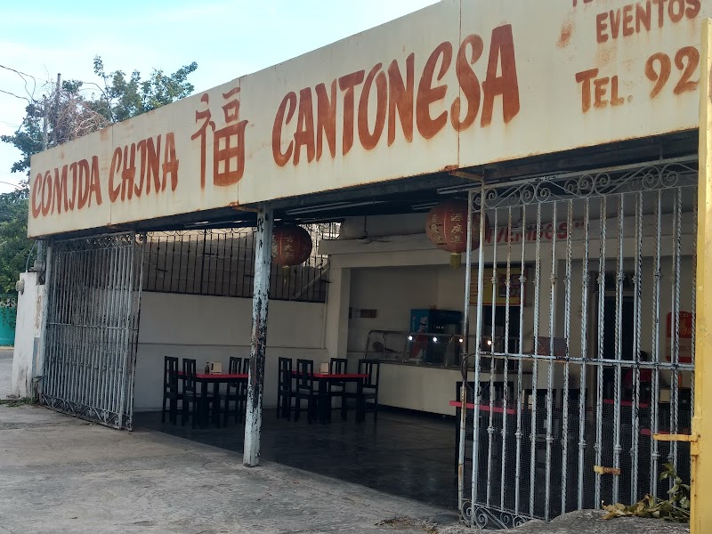 COMIDA CHINA YONGFU
