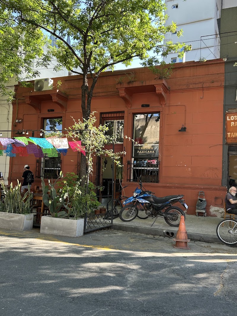 Aurelia Cantina