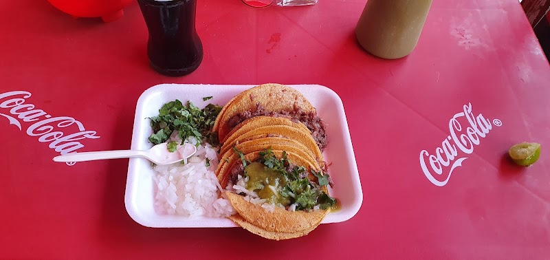TACOS DE BARBACOA MODESTO ARREOLA