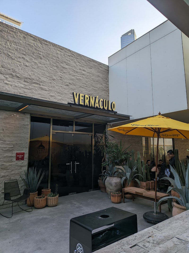Vernáculo