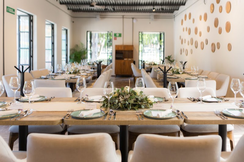 Restaurante Salón Mezcalli