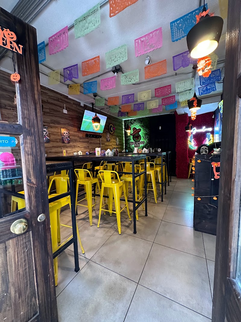 Paltamole Tex-Mex