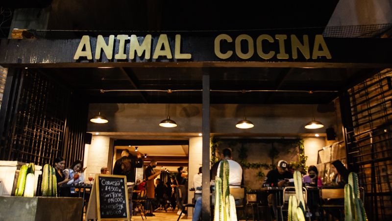 Animal Cocina Provenza