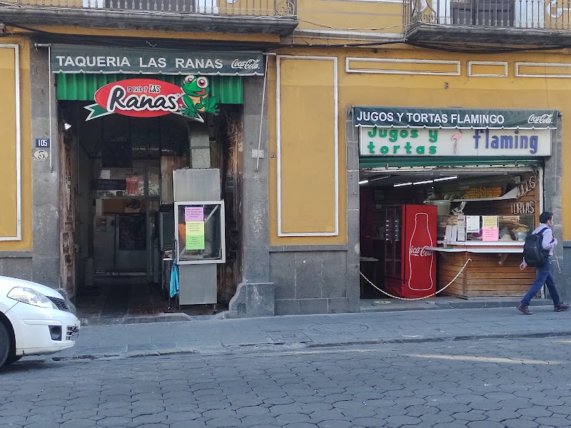 El Patio y las Ranas