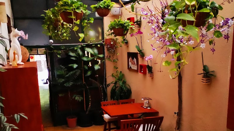 Restaurant Café El Gato Café
