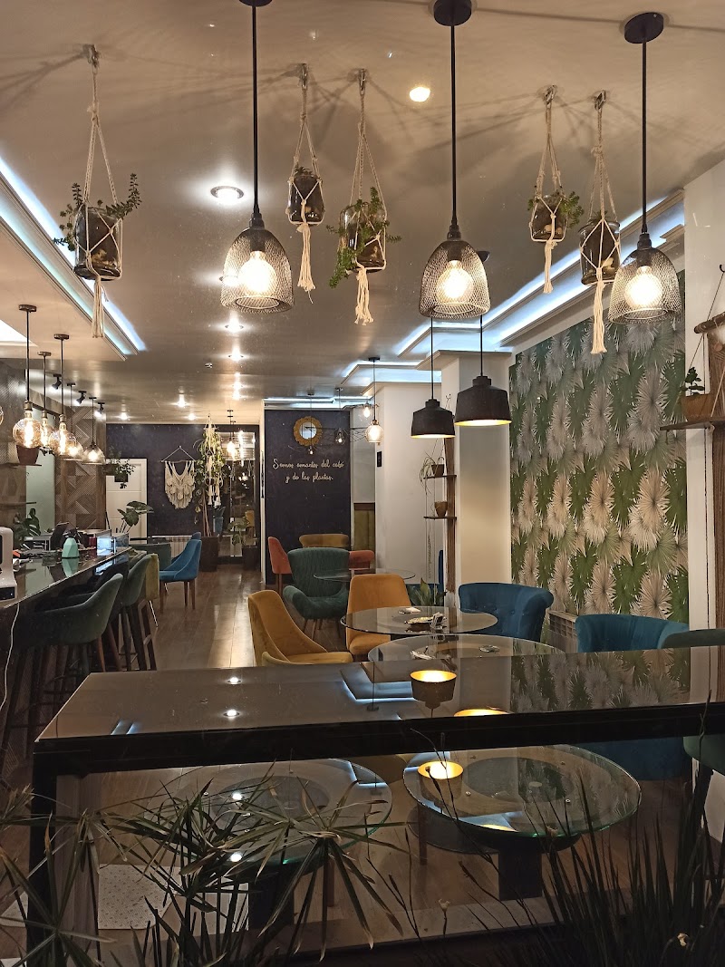Biofilia Café