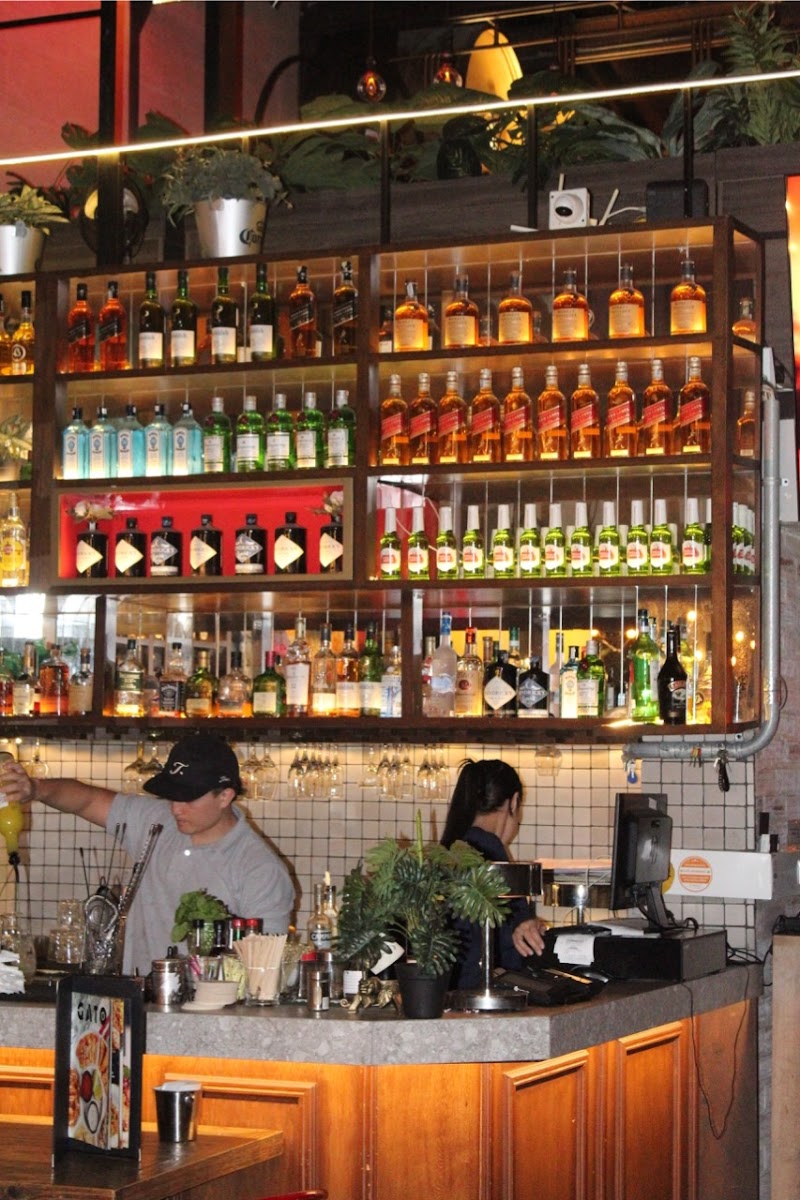 GATO-RESTO BAR