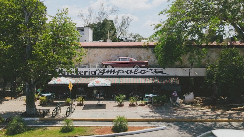 Cafeteria Merida Impala ☕️ | The FIRST Coffee Shop since 1958 on Paseo de Montejo, Centro