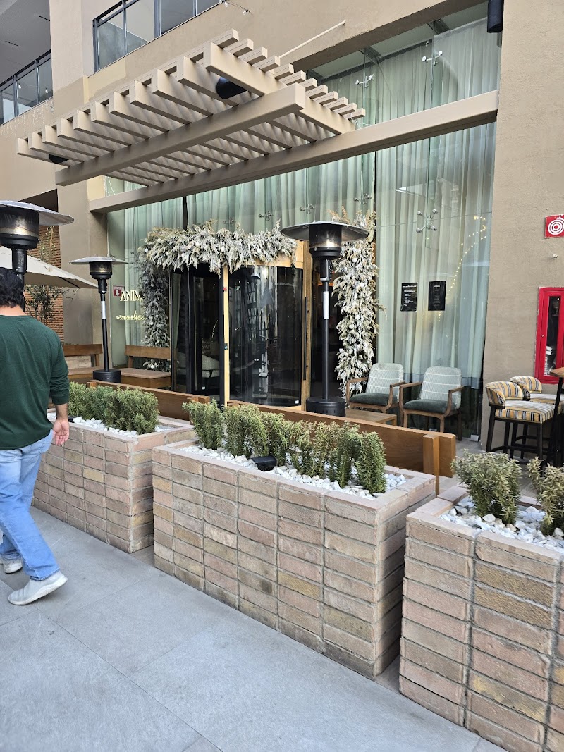 Mochomos Tijuana