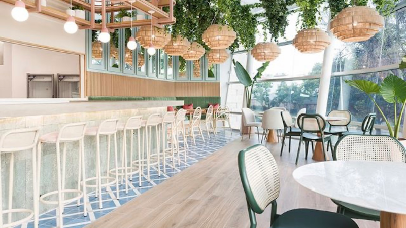 Nuts and Coco Wellness bar