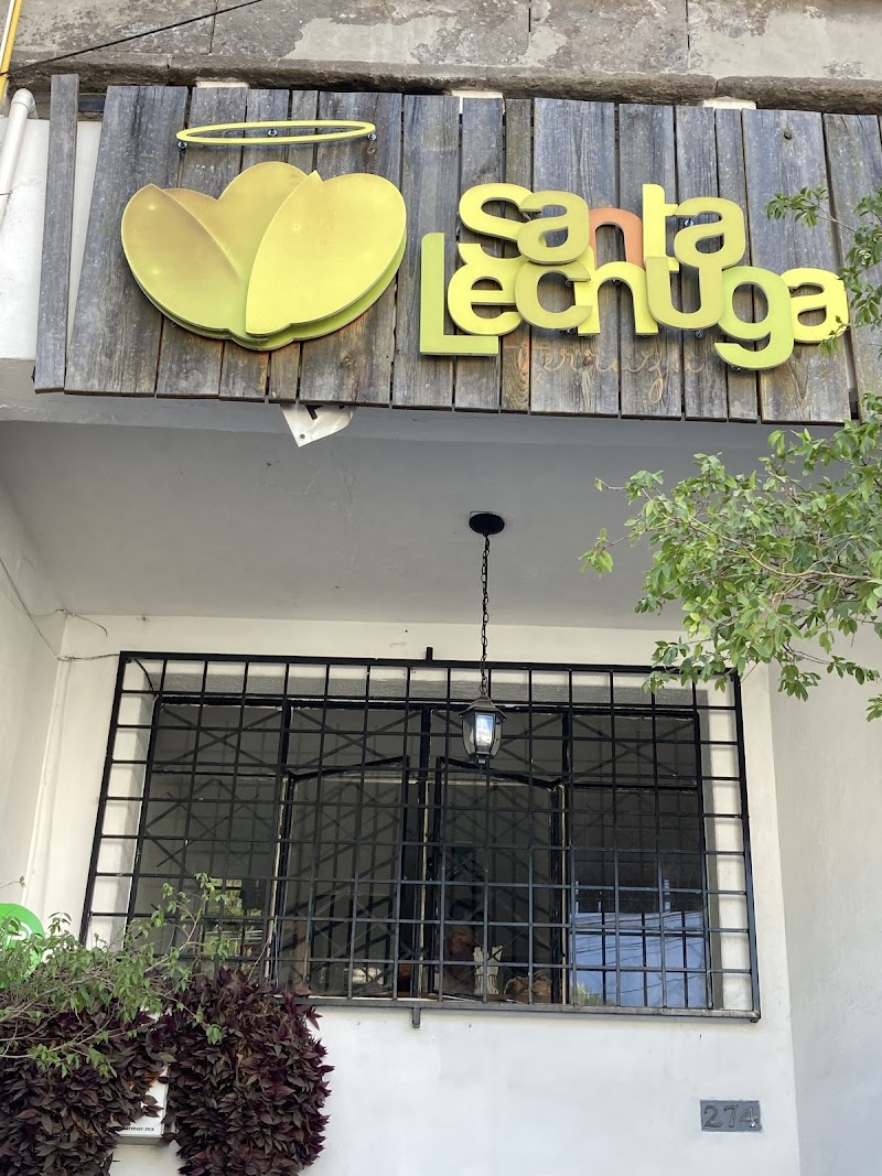 Santa Lechuga
