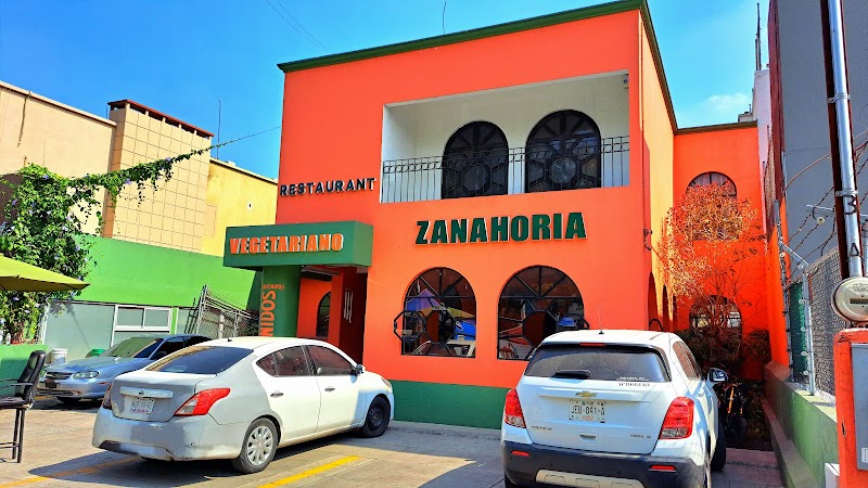Vegetariano Zanahoria