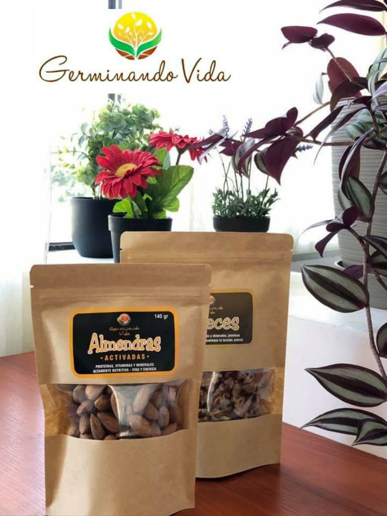 Germinando Vida Ecoferias