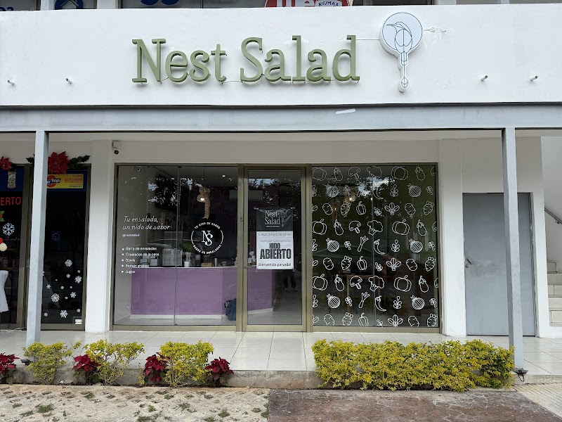 Nest salad