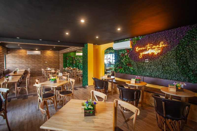 Tábom Healthy Food | Francisco de Montejo