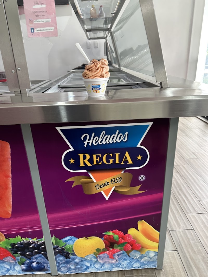 Helados Regia Sucursal Vía la Luz
