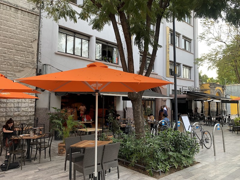 Cancino Alameda