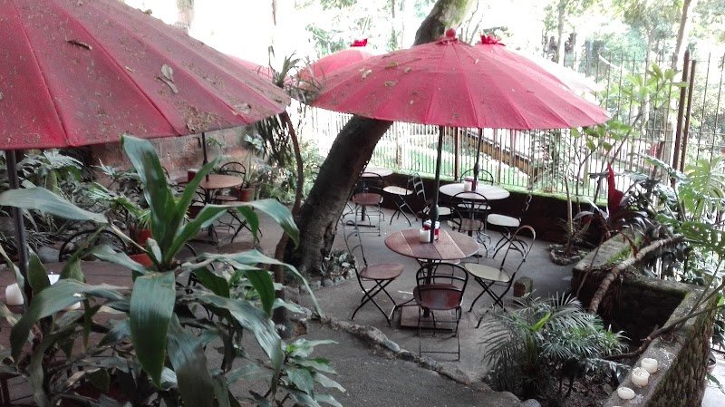 Café Zorba