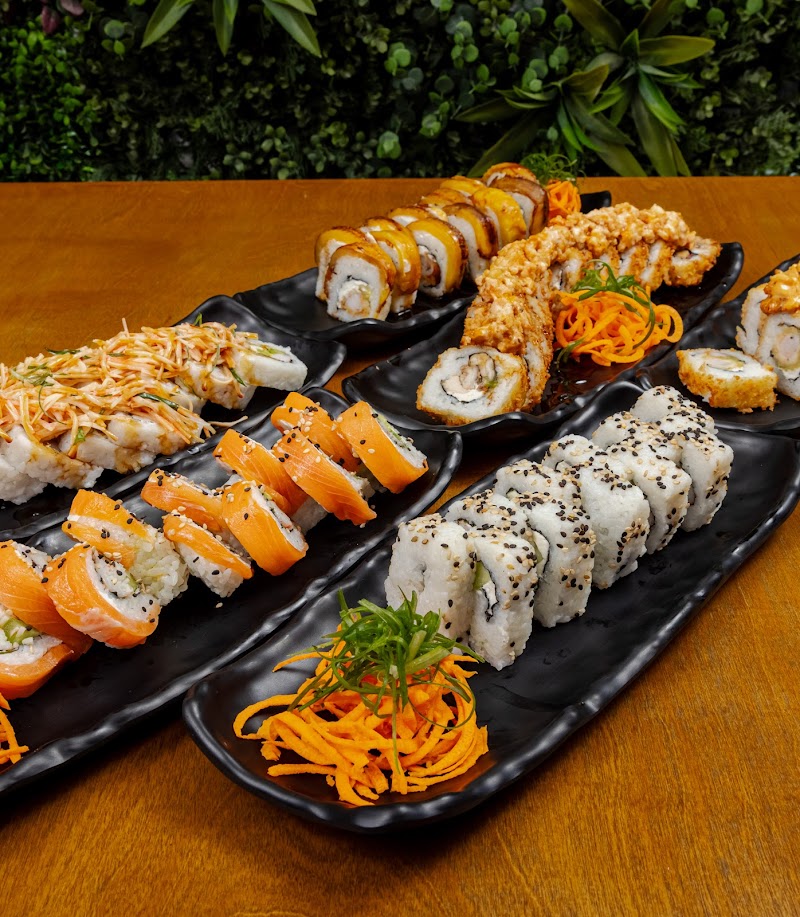 Sushingoon zona norte