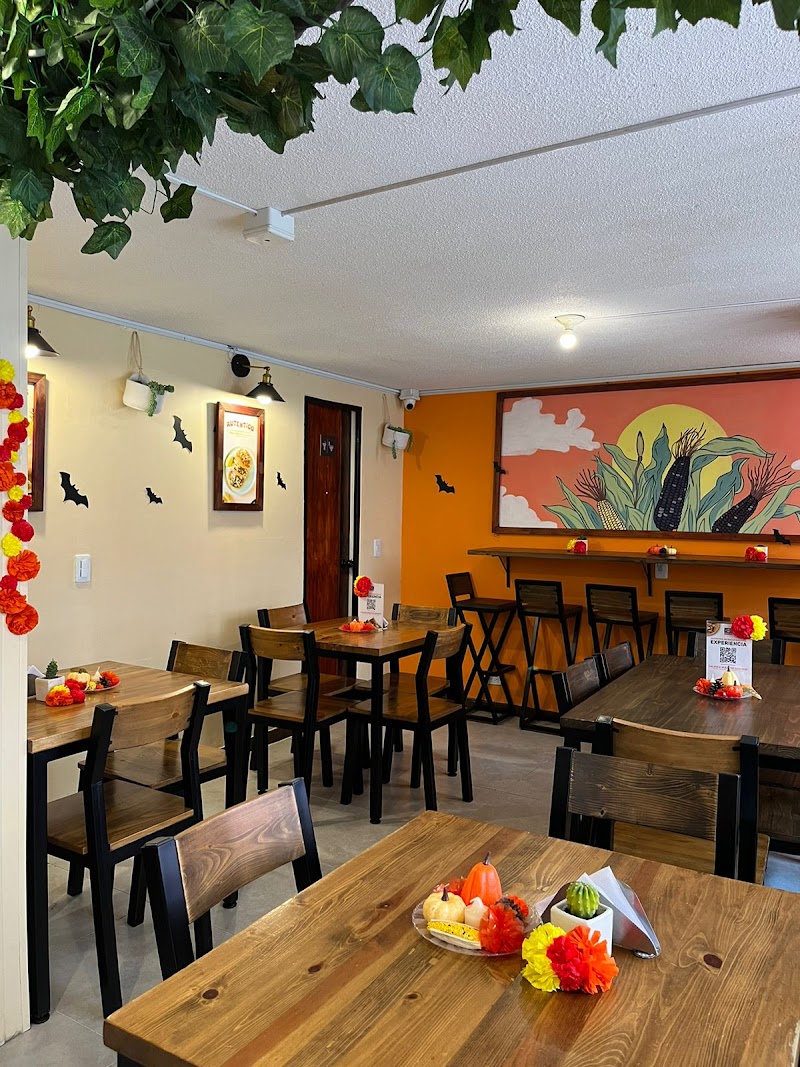 Don Taco Taqueria