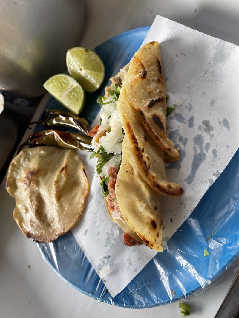 La taqueria tacos y tortas