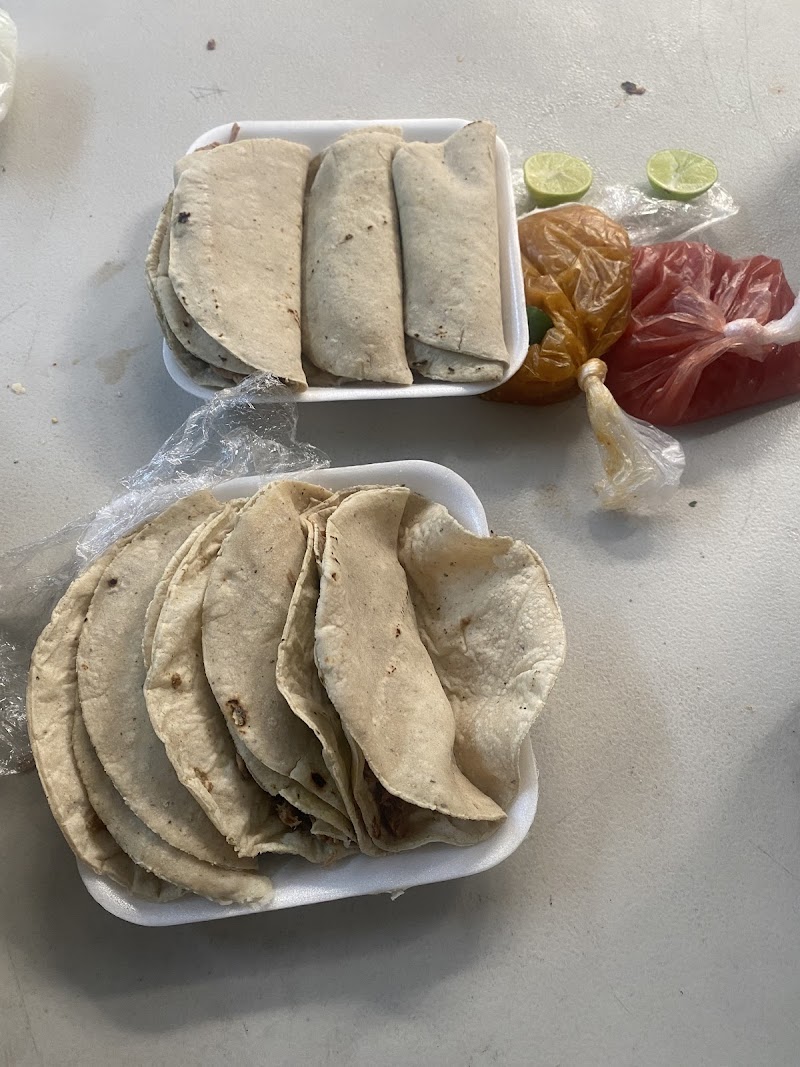 Tacos Vic