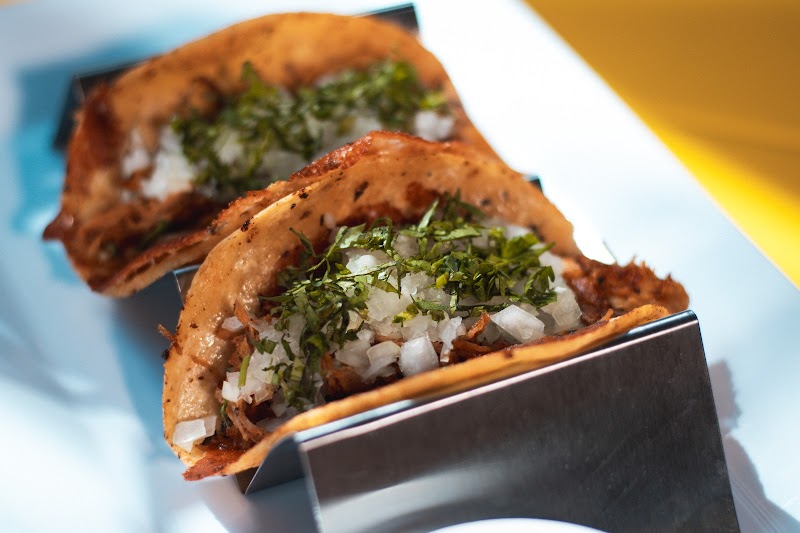 Maguey Taqueria
