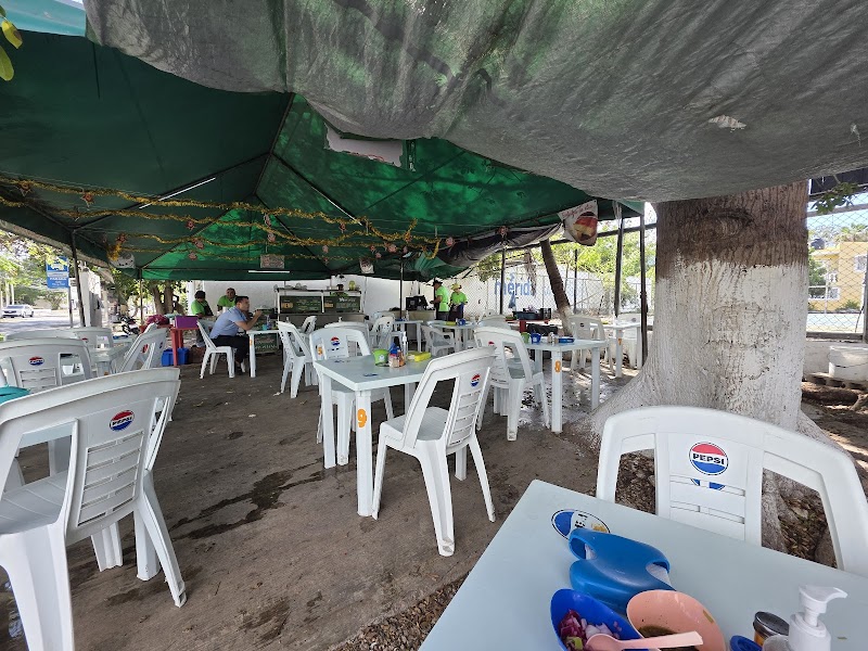 Taquería El Ceibo Jr. Altabrisa