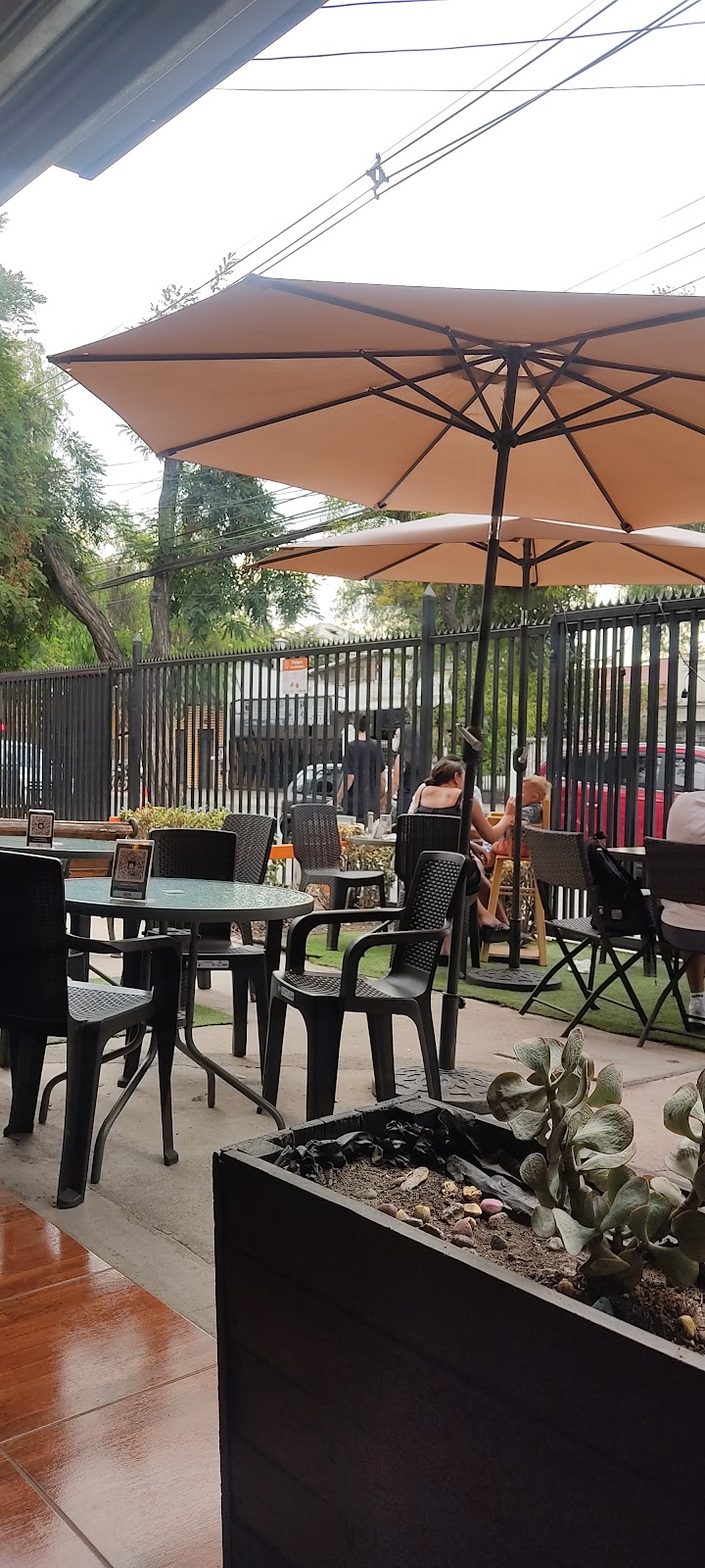 Mariachi Loco