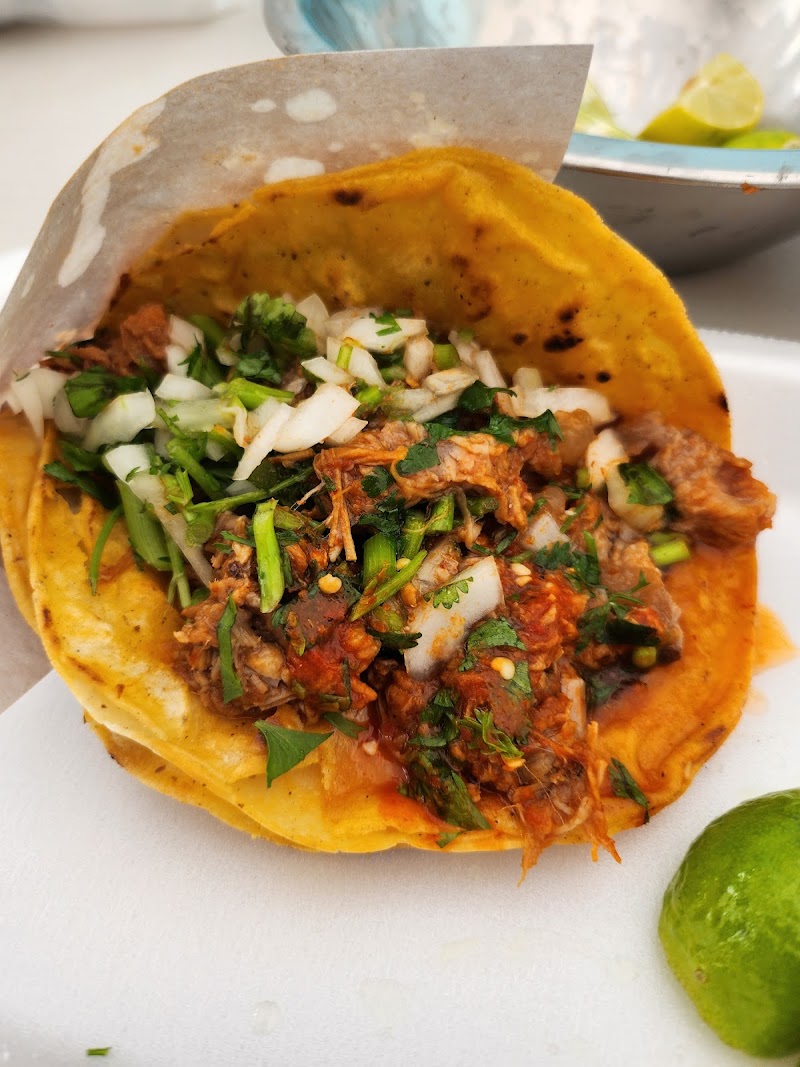 Tacos De Birria Martin