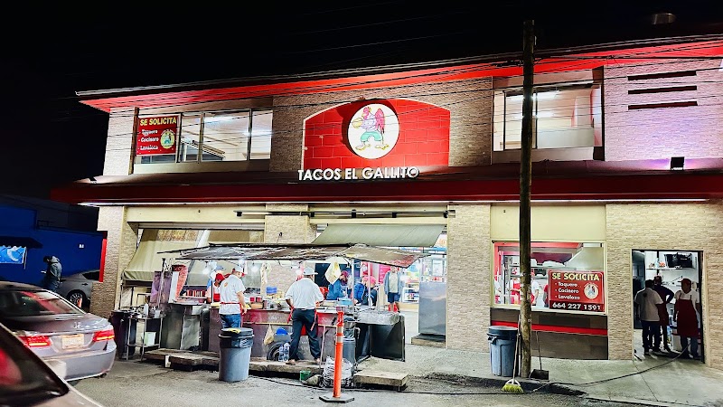 Tacos El Gallito